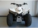 Suzuki LTZ50 wit